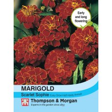 Marigold Scarlet Sophie (French) Marigold Scarlet Sophie (French)