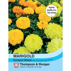 Marigold Sunspot Mixed Marigold Sunspot Mixed