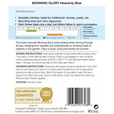 Morning Glory Heavenly Blue (Ipomoea) Morning Glory Heavenly Blue (Ipomoea)