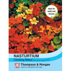 Nasturtium Climbing Mixed Nasturtium Climbing Mixed