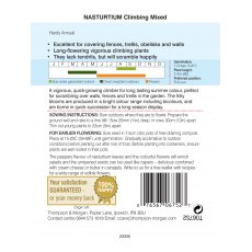 Nasturtium Climbing Mixed Nasturtium Climbing Mixed