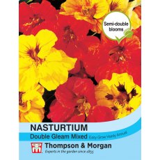 Nasturtium Double Gleam Mixed Nasturtium Double Gleam Mixed