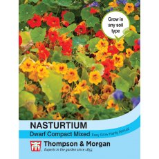 Nasturtium Dwarf Compact Mixed Nasturtium Dwarf Compact Mixed