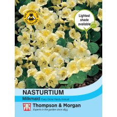 Nasturtium Milkmaid Nasturtium Milkmaid