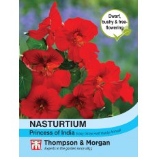 Nasturtium Princess of India Nasturtium Princess of India