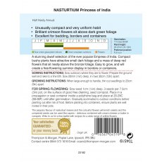 Nasturtium Princess of India Nasturtium Princess of India