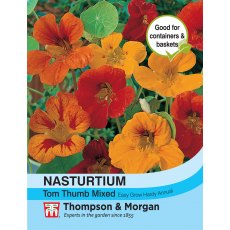 Nasturtium Tom Thumb Mixed Nasturtium Tom Thumb Mixed