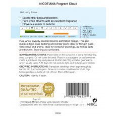 Nicotiana Fragrant Cloud Nicotiana Fragrant Cloud