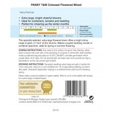 Pansy T&M Colossal Flowered Mixed Pansy T&M Colossal Flowered Mixed