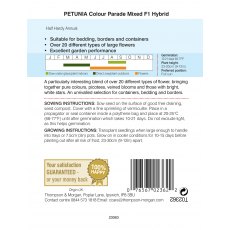 Petunia Colour Parade Mixed F1 Hybrid Petunia Colour Parade Mixed F1 Hybrid