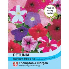 Petunia Rainbow Mixed F2 Hybrid Petunia Rainbow Mixed F2 Hybrid