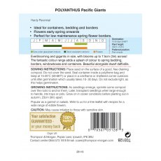 Polyanthus Pacific Giants Mixed Polyanthus Pacific Giants Mixed