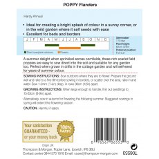 Poppy Flanders Poppy Flanders