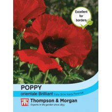 Poppy Brilliant Poppy Brilliant
