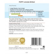 Poppy Brilliant Poppy Brilliant