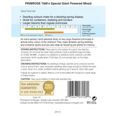 Primrose T&M Special Giant Flowered Mixed Primrose T&M Special Giant Flowered Mixed