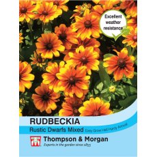 Rudbeckia Rustic Dwarfs Mixed Rudbeckia Rustic Dwarfs Mixed