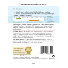 Rudbeckia Rustic Dwarfs Mixed Rudbeckia Rustic Dwarfs Mixed