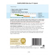 Sunflower Elite Sun F1 Hybrid Sunflower Elite Sun F1 Hybrid