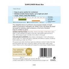 Sunflower Music Box Sunflower Music Box