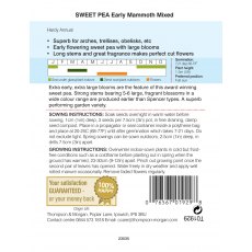 Sweet Pea Early Mammoth Mixed Sweet Pea Early Mammoth Mixed