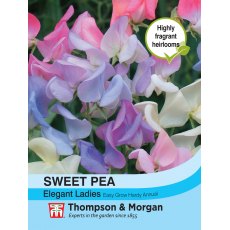 Sweet Pea Elegant Ladies Sweet Pea Elegant Ladies