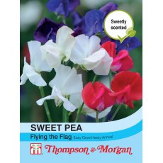 Sweet Pea Flying the Flag Sweet Pea Flying the Flag