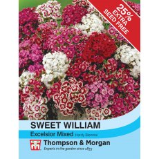 Sweet William Excelsior Mixed Sweet William Excelsior Mixed