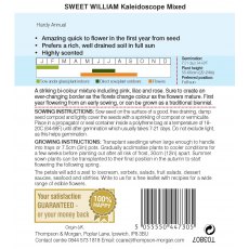 Sweet William Kaleidoscope Mixed Sweet William Kaleidoscope Mixed