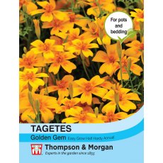 Tagetes Golden Gem Tagetes Golden Gem