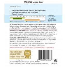 Tagetes Lemon Gem Tagetes Lemon Gem