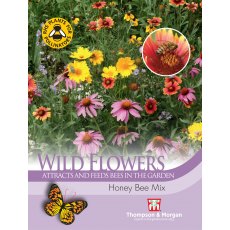 Wild Flower Honey Bee Flower Mix Wild Flower Honey Bee Flower Mix