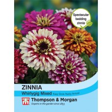 Zinnia Whirlygig Mixed Zinnia Whirlygig Mixed