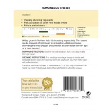 Broccoli Romanesco Broccoli Romanesco