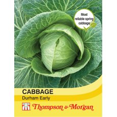 Cabbage Durham Early Cabbage Durham Early