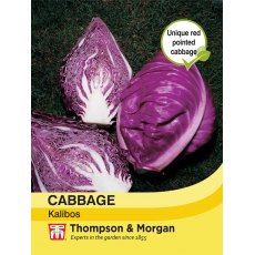 Cabbage Kalibos (Filderkraut) F1 Hybrid Cabbage Kalibos (Filderkraut) F1 Hybrid
