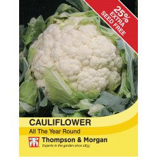 Cauliflower All The Year Round Cauliflower All The Year Round
