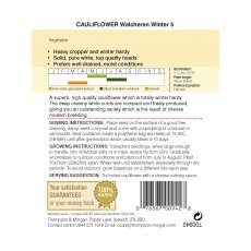 Cauliflower Walcheren Winter 5 Cauliflower Walcheren Winter 5