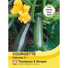 Courgette Defender F1 Hybrid Courgette Defender F1 Hybrid