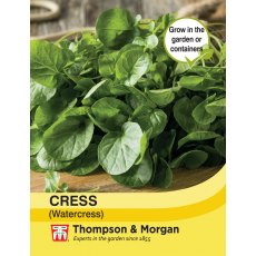 Cress (Watercress) Cress (Watercress)