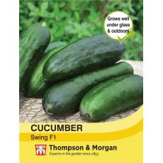 Cucumber Swing F1 Hybrid Cucumber Swing F1 Hybrid