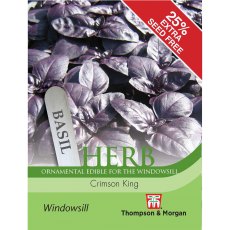 Herb Basil Crimson King Herb Basil Crimson King