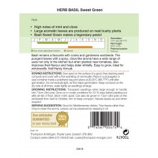 Herb Basil Sweet Green Herb Basil Sweet Green