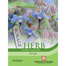 Herb Borage Herb Borage