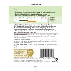 Herb Borage Herb Borage