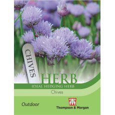 Herb Chives Herb Chives