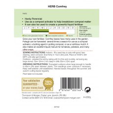 Herb Comfrey Herb Comfrey
