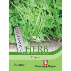 Herb Coriander Calypso Herb Coriander Calypso