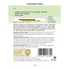 Herb Coriander Calypso Herb Coriander Calypso