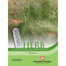 Herb Fennel Bronze Herb Fennel Bronze